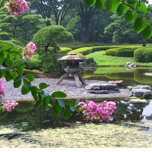 Creating a Tranquil Japanese Garden Space in Late Summer